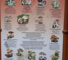IMG-20190906-WA0017.jpg