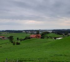 IMG-20190906-WA0012.jpg