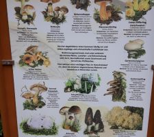 IMG-20190906-WA0019.jpg