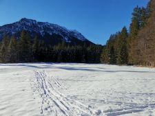 IMG_20220115_105636.jpg