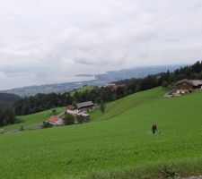 IMG-20190906-WA0029.jpg