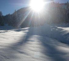 IMG_0154.JPG