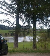 IMG_20170506_103534.jpg