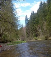 IMG_20170506_142315.jpg