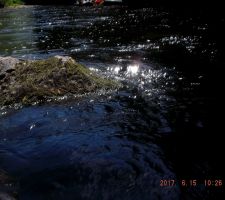 DSCF1160.JPG