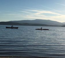 IMG-20170613-WA012.jpg