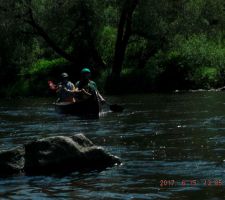 DSCF1191.JPG