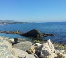 IMG-20170409-WA002.jpg