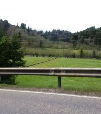 IMG_20170506_153439.jpg