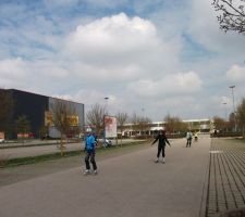 n8.JPG
