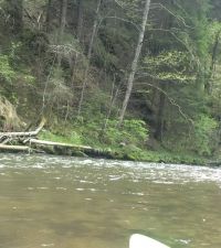 IMG_20170506_142213.jpg