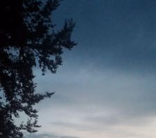 IMG_20180707_044508.jpg