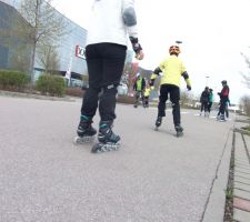 n1.JPG