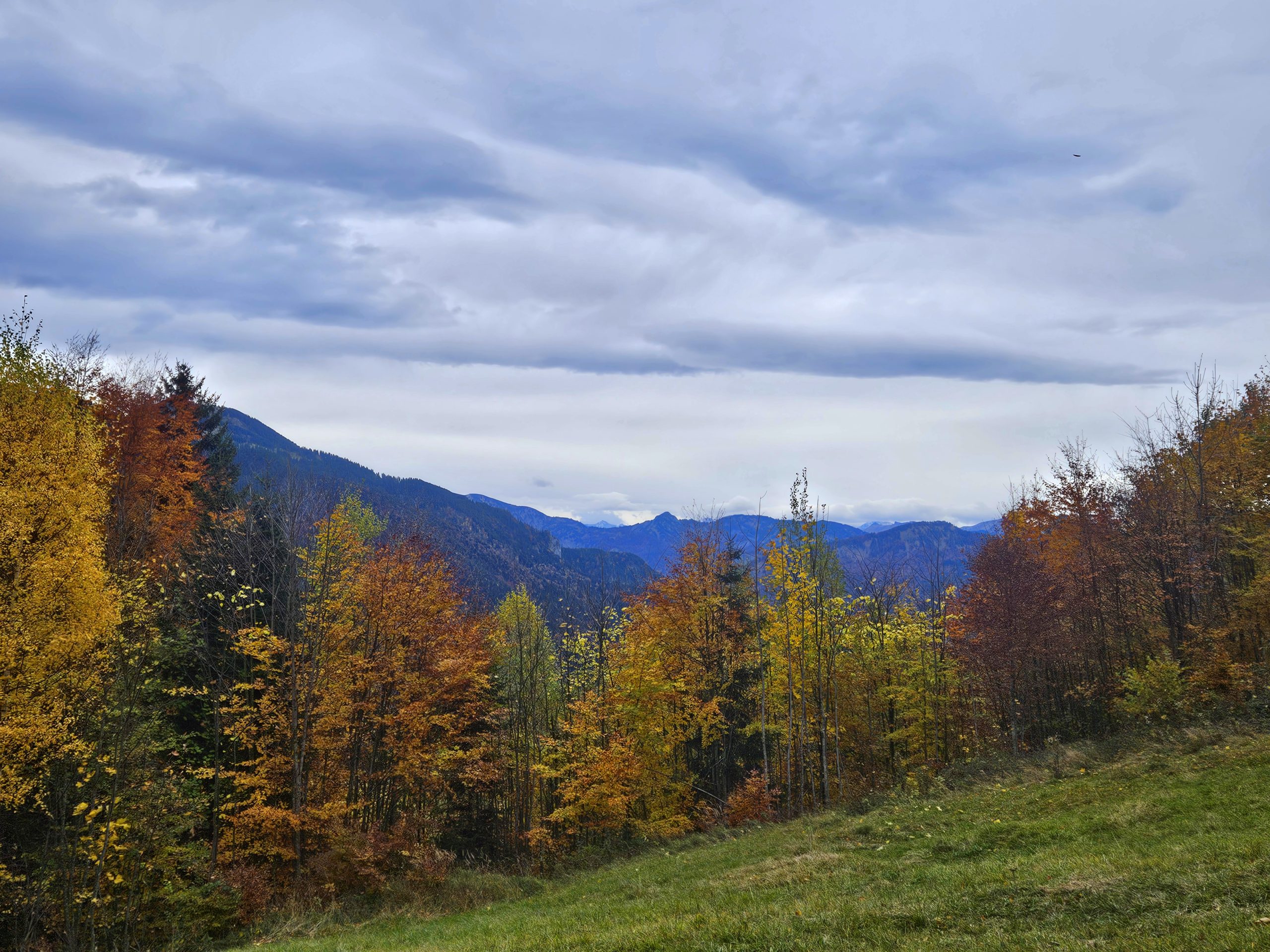 Wandern Sutten 10.2025